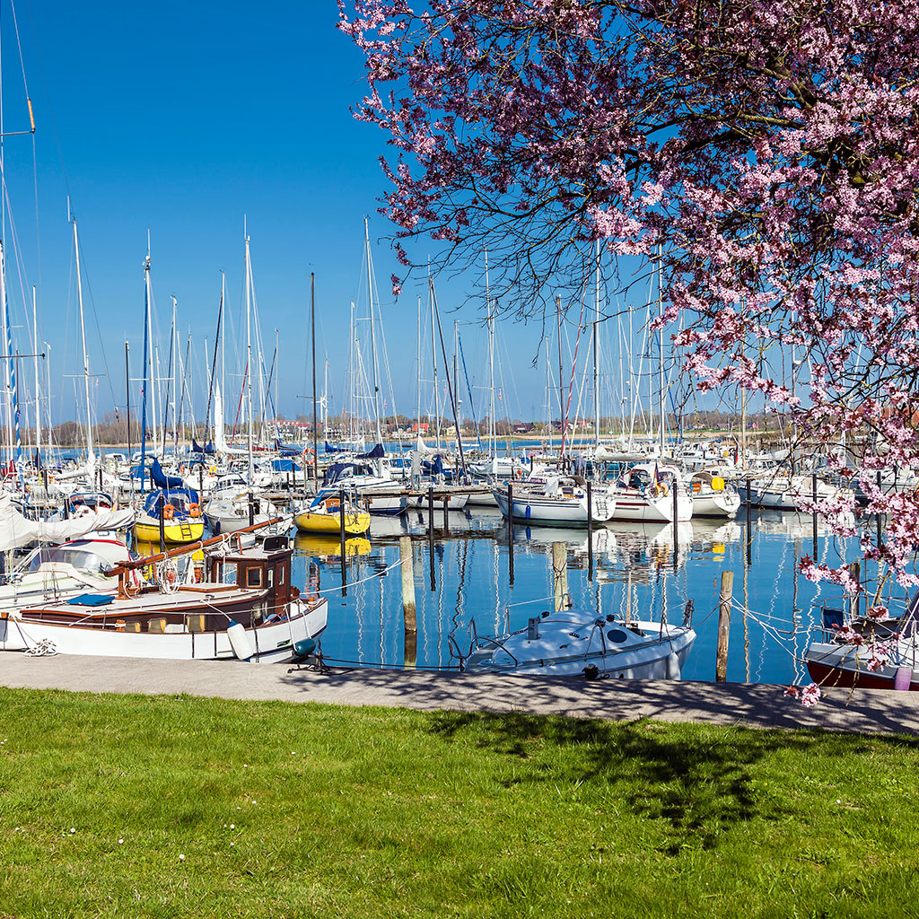 Geheimtipp Schleswig an der Schlei